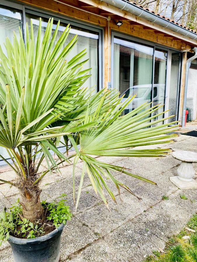 La Villa Jo Le Grand-Lemps Eksteriør billede